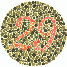 Ishihara Test 3