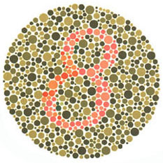 Ishihara Test 2